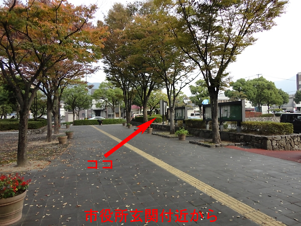 dqf