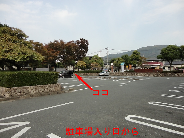 dqf