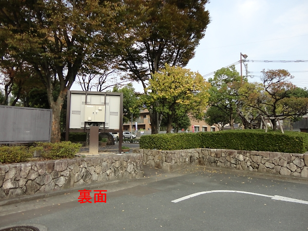 dqf
