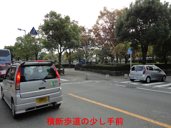 dqf