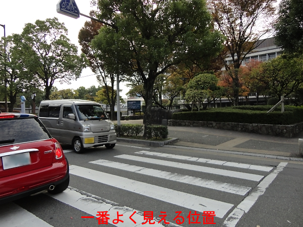 dqf