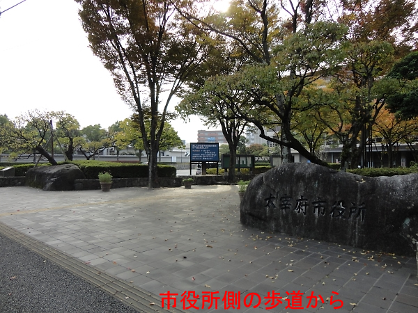 dqf